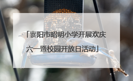 襄阳市昭明小学开展欢庆六一暨校园开放日活动
