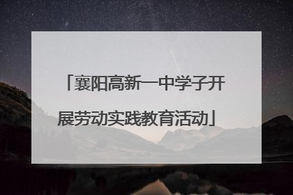 襄阳高新一中学子开展劳动实践教育活动