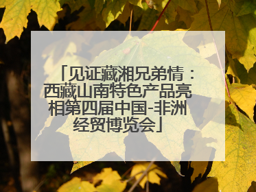 见证藏湘兄弟情：西藏山南特色产品亮相第四届中国-非洲经贸博览会