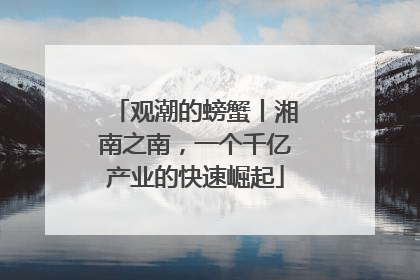 观潮的螃蟹丨湘南之南，一个千亿产业的快速崛起