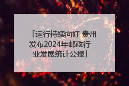 运行持续向好 贵州发布2024年邮政行业发展统计公报