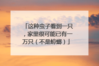 这种虫子看到一只，家里很可能已有一万只（不是蟑螂）