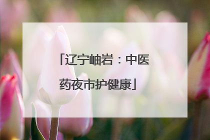 辽宁岫岩：中医药夜市护健康