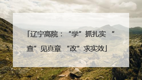 辽宁高院：“学”抓扎实 “查”见真章 “改”求实效