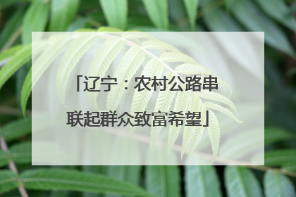 辽宁：农村公路串联起群众致富希望