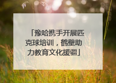 豫哈携手开展匹克球培训，鹤壁助力教育文化援疆