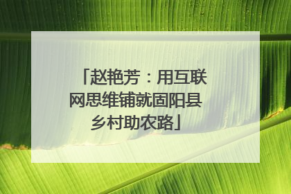 赵艳芳：用互联网思维铺就固阳县乡村助农路