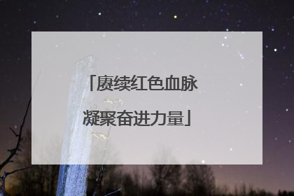 赓续红色血脉 凝聚奋进力量