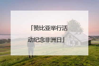 赞比亚举行活动纪念非洲日