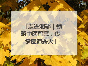 走进湘鄂｜领略中医智慧，传承医道薪火