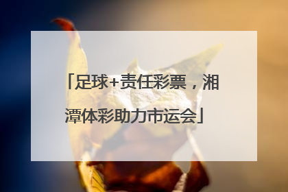 足球+责任彩票，湘潭体彩助力市运会