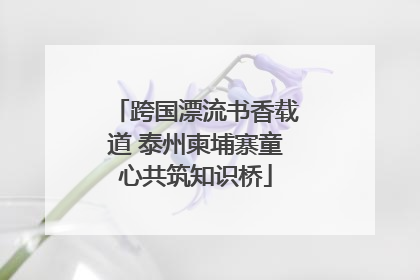 跨国漂流书香载道 泰州柬埔寨童心共筑知识桥