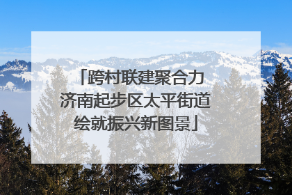 跨村联建聚合力 济南起步区太平街道绘就振兴新图景