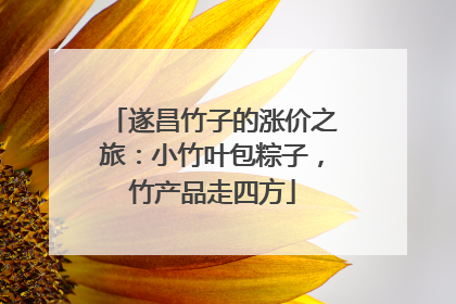 遂昌竹子的涨价之旅：小竹叶包粽子，竹产品走四方