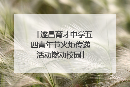 遂昌育才中学五四青年节火炬传递活动燃动校园