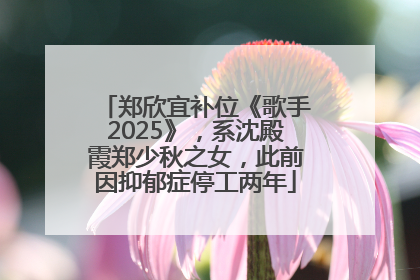 郑欣宜补位《歌手2025》，系沈殿霞郑少秋之女，此前因抑郁症停工两年
