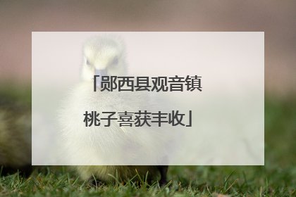郧西县观音镇桃子喜获丰收
