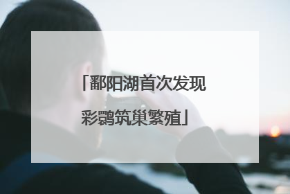 鄱阳湖首次发现彩鹮筑巢繁殖