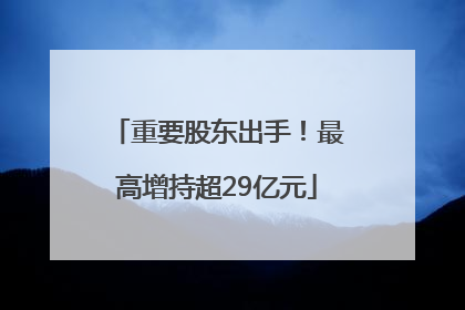 重要股东出手！最高增持超29亿元