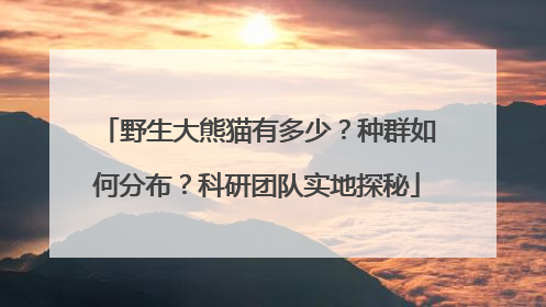 野生大熊猫有多少？种群如何分布？科研团队实地探秘