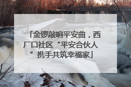 金锣敲响平安曲，西厂口社区“平安合伙人”携手共筑幸福家