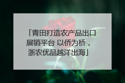 青田打造农产品出口展销平台 以侨为桥，浙农优品越洋出海