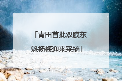 青田首批双膜东魁杨梅迎来采摘