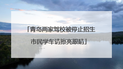 青岛两家驾校被停止招生 市民学车请擦亮眼睛
