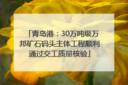 青岛港：30万吨级万邦矿石码头主体工程顺利通过交工质量核验