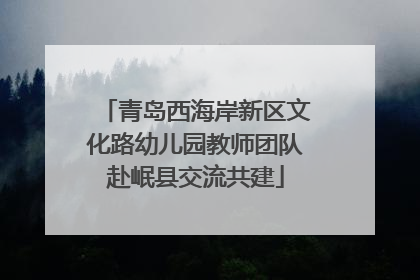 青岛西海岸新区文化路幼儿园教师团队赴岷县交流共建