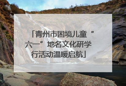 青州市困境儿童“六一”地名文化研学行活动温暖启航