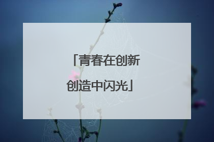 青春在创新创造中闪光