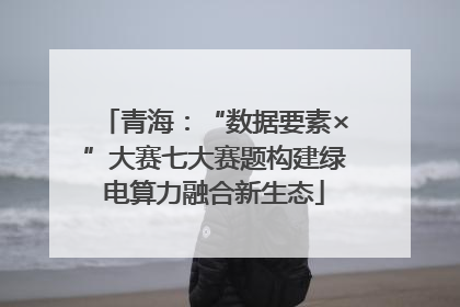青海：“数据要素×”大赛七大赛题构建绿电算力融合新生态