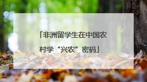 非洲留学生在中国农村学“兴农”密码