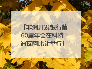 非洲开发银行第60届年会在科特迪瓦阿比让举行