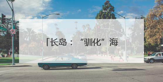 长岛：“驯化”海草赋能“零碳岛”