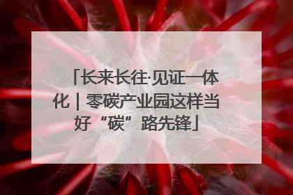 长来长往·见证一体化｜零碳产业园这样当好“碳”路先锋