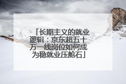 长期主义的就业逻辑：京东超五十万一线岗位如何成为稳就业压舱石