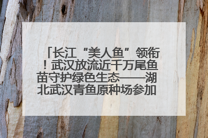 长江“美人鱼”领衔！武汉放流近千万尾鱼苗守护绿色生态——湖北武汉青鱼原种场参加2025年“全国放鱼日”增殖放流活动