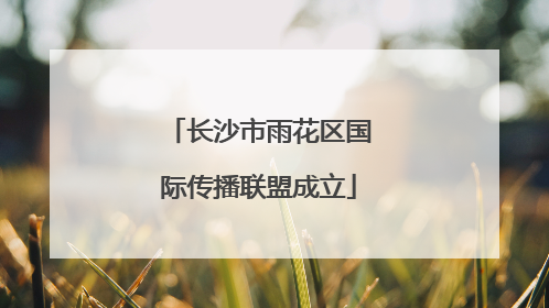 长沙市雨花区国际传播联盟成立