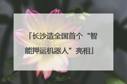 长沙造全国首个“智能押运机器人”亮相