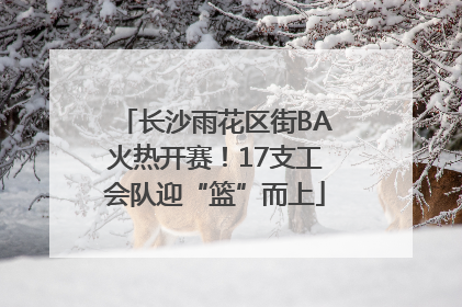 长沙雨花区街BA火热开赛！17支工会队迎“篮”而上