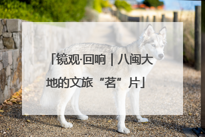 镜观·回响｜八闽大地的文旅“茗”片