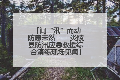 闻“汛”而动 防患未然——炎陵县防汛应急救援综合演练现场见闻