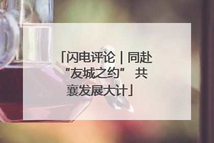 闪电评论｜同赴“友城之约” 共襄发展大计