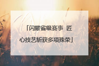 闪耀省级赛事  匠心技艺斩获多项殊荣