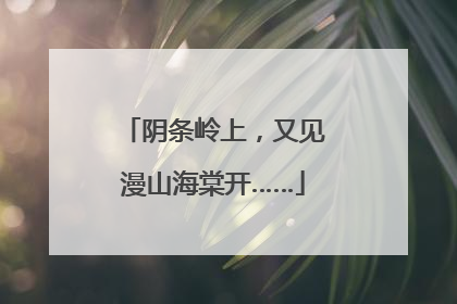 阴条岭上，又见漫山海棠开……