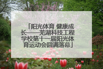 阳光体育 健康成长——芜湖科技工程学校第十一届阳光体育运动会圆满落幕