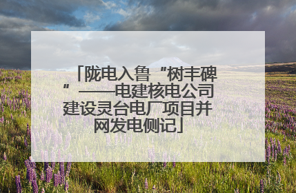 陇电入鲁“树丰碑”——电建核电公司建设灵台电厂项目并网发电侧记