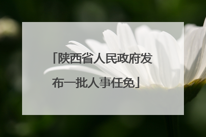 陕西省人民政府发布一批人事任免
